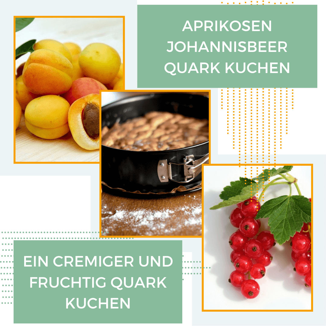 aprikosen-johannisbeer-quark-kuchen
